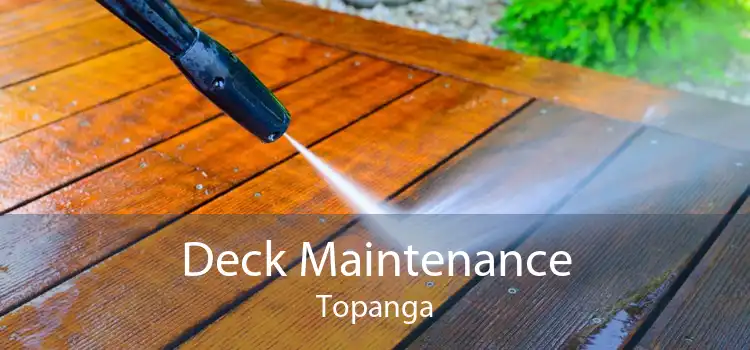 Deck Maintenance Topanga